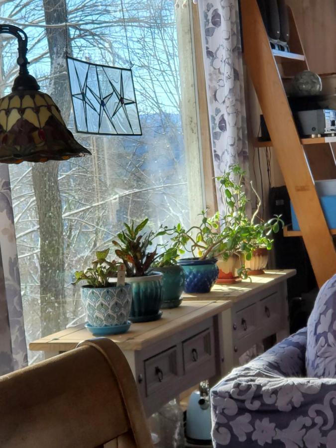 Burnsville Treehouse Cathedral In Blue Ridge Mountains, Nc 빌라 외부 사진