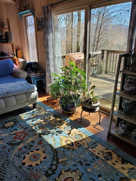 Burnsville Treehouse Cathedral In Blue Ridge Mountains, Nc 빌라 외부 사진